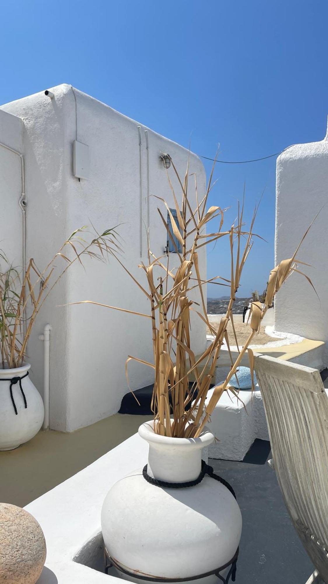 Vougli View Mykonos Hotel Drafaki Eksteriør billede